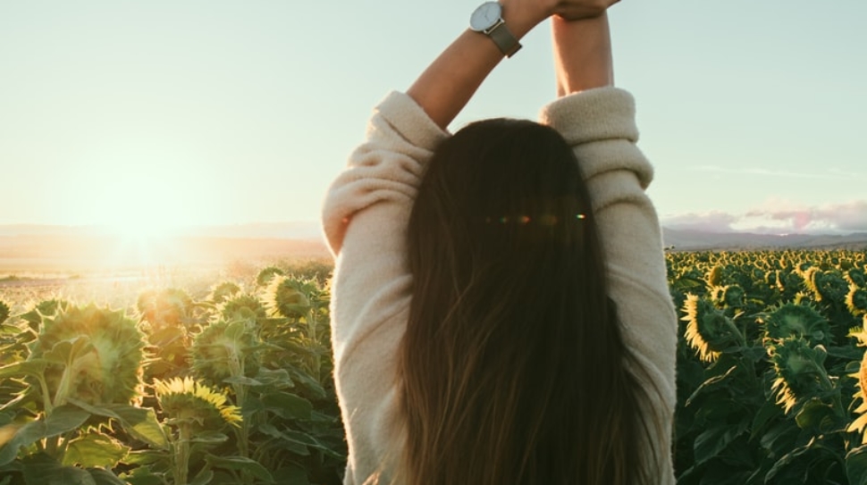 woman surrounded by sunflowers