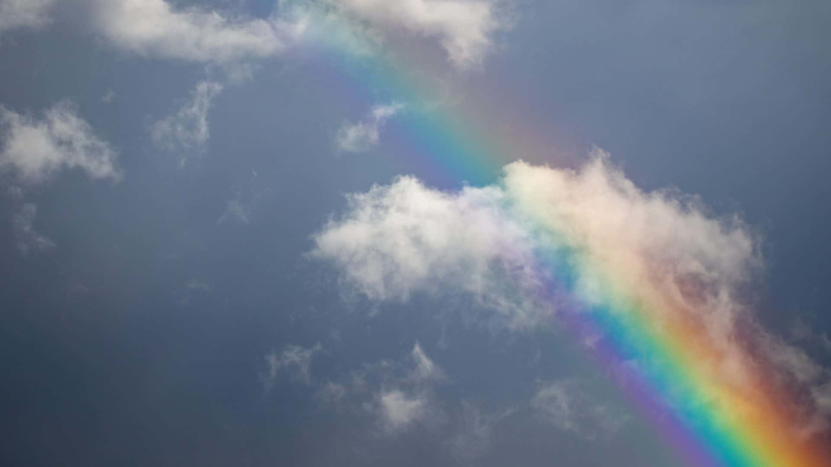 rainbow during daytime